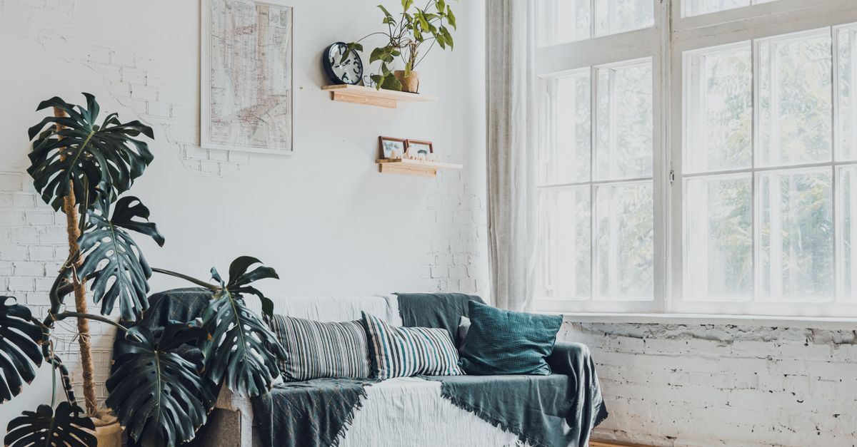 Bright and modern living room featuring monstera plants and cozy decor.